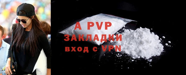 каннабис Богданович