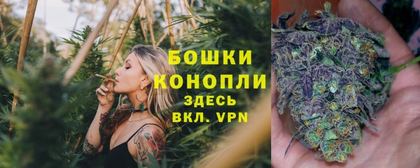 jwh Богородицк