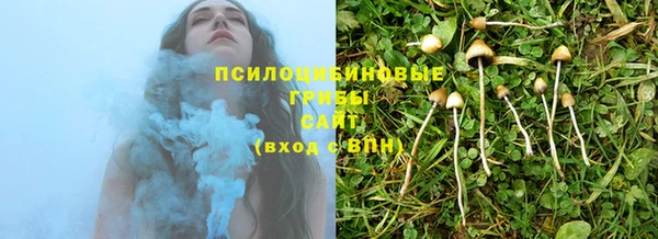 каннабис Богданович