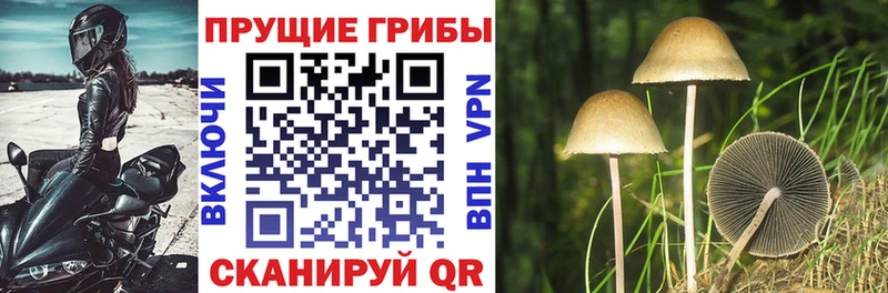 блэк спрут ONION  Наро-Фоминск  это формула  Галлюциногенные грибы Cubensis 
